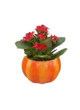 Load image into Gallery viewer, Indoor Garden PMIX125 Pumpkin Mini Mixer
