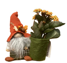 Load image into Gallery viewer, Indoor Garden FMIX104 Gnome Mixer
