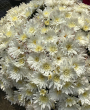 Load image into Gallery viewer, 10” Fall Mum

